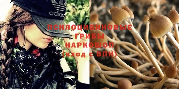 спайс Липки