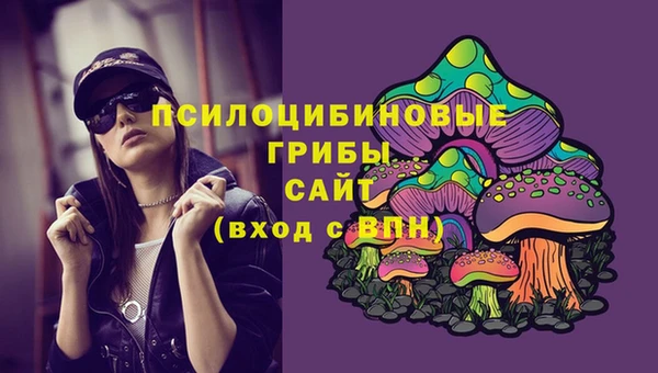 спайс Липки