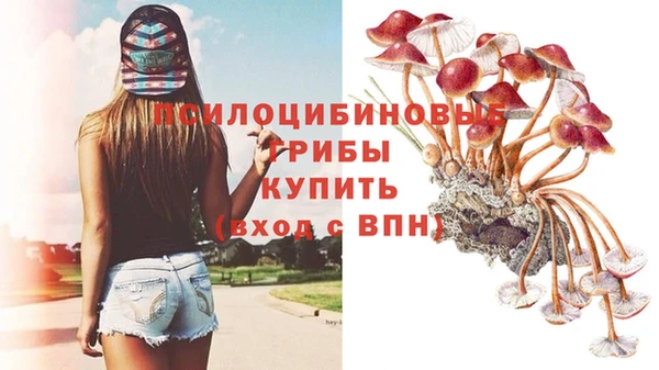 амфетамин Лихославль