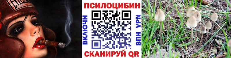 Купить где  Собинка  Галлюциногенные грибы мицелий 